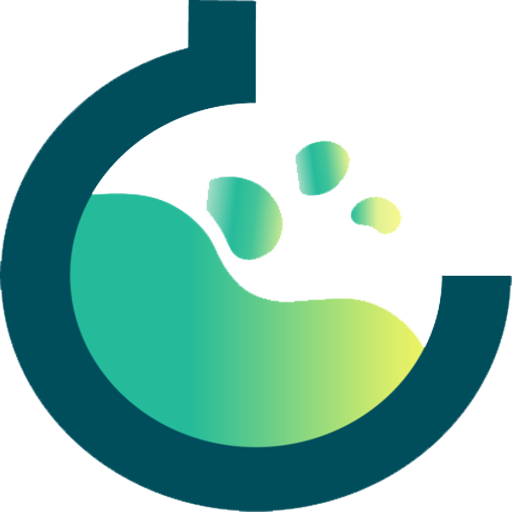 My Website